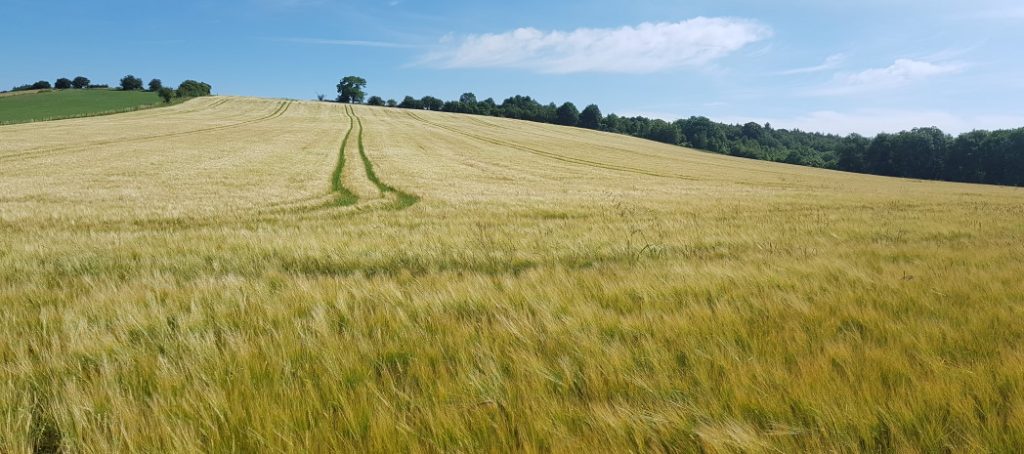 Cotswold Way