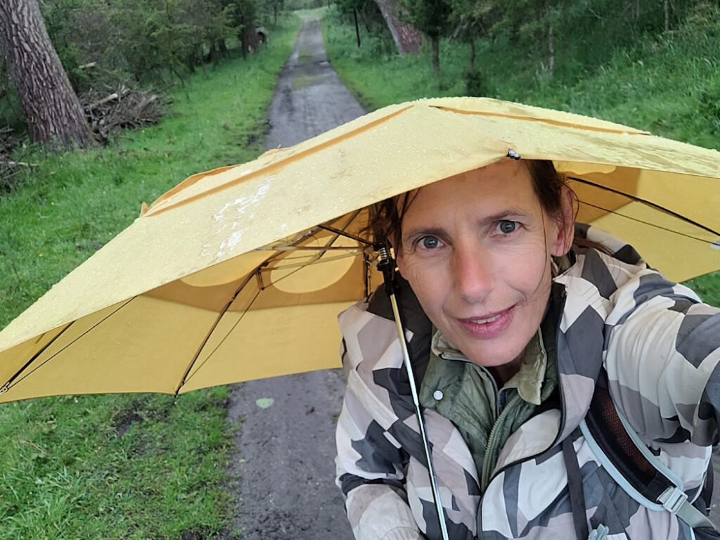 Regen in de duinen