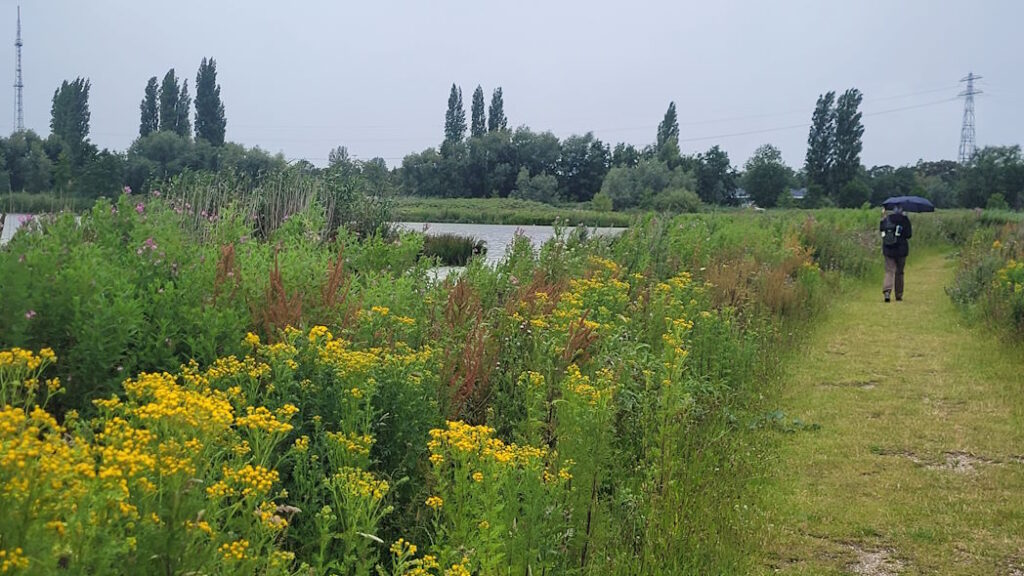 Polders Poelgeest