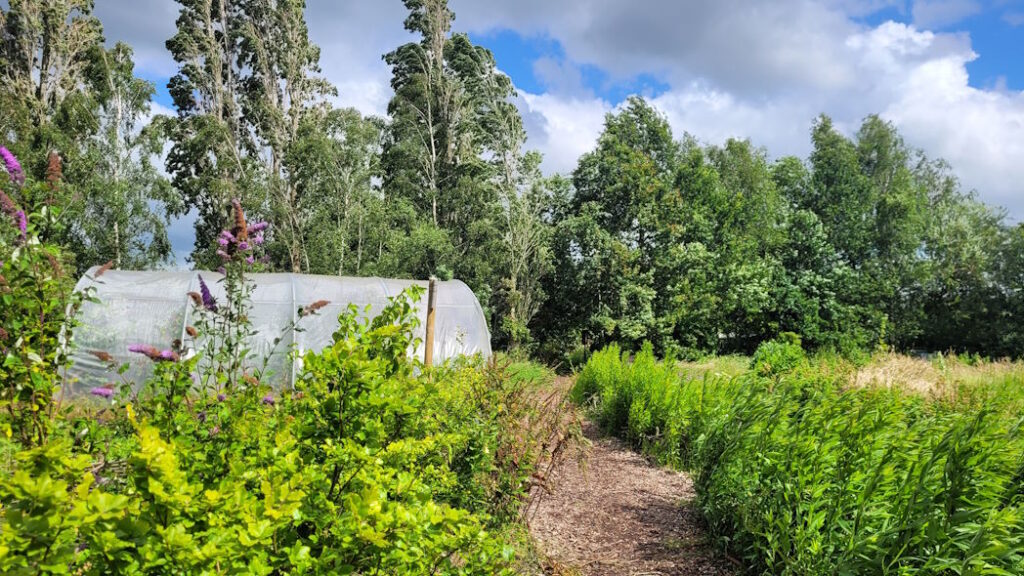 Kwekerij De Groene Cirkel