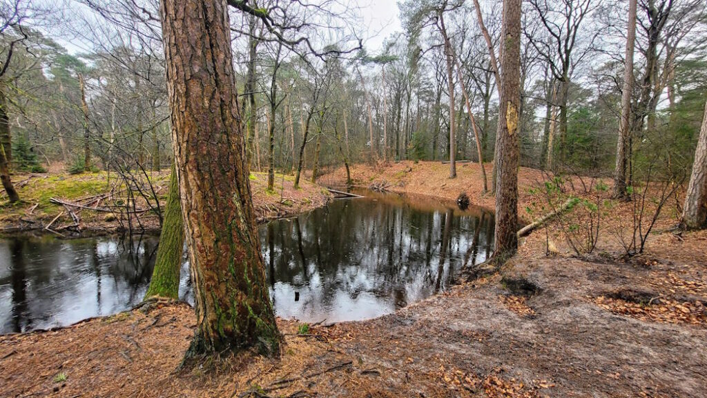 Pannekoekvijver