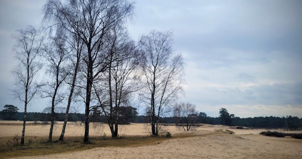 Lange Duinen