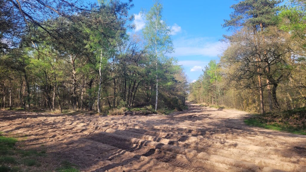 Oirschotse Heide