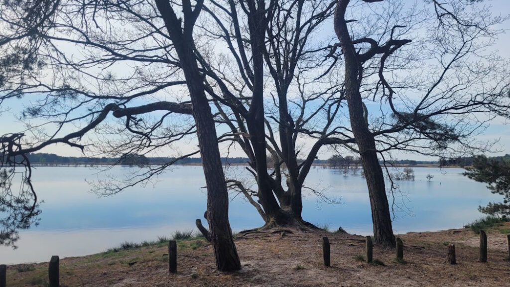 Vennen Landschotse Heide