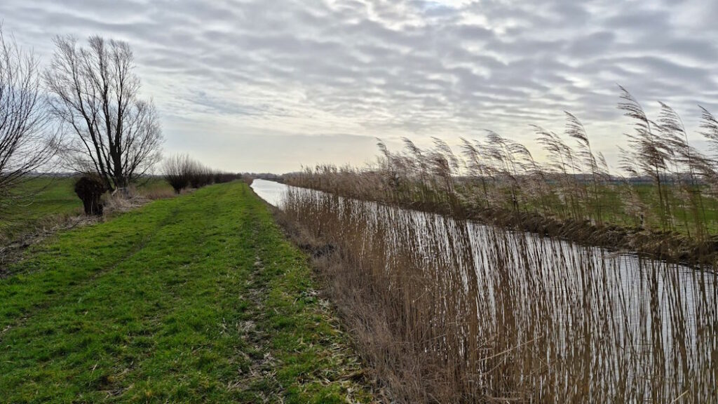 Schalkwijkse wetering