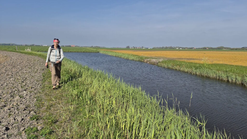 Akkers op Texel