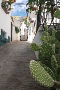 Een straat in Carzorla